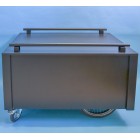 Kindersargwagen mit Führungsstangen schwarz